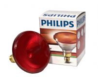 Lamp Bulb - Infrared Heat